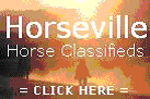 Horses For Sale at Horseville